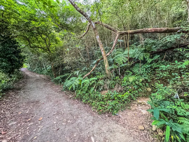 6:45 往右上即可到達大凍山(鹽粿山土地公廟)停車場