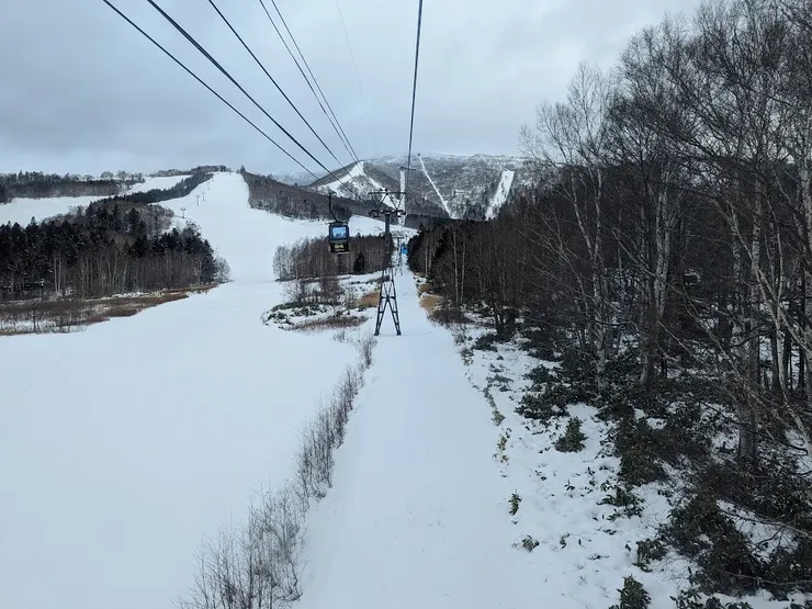 纜車上看到的景色