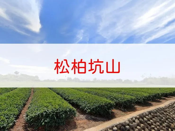 【南投】小百岳-松柏坑山、田園茶香賞茶步道 | 全長:3.4公里 | 難度:低