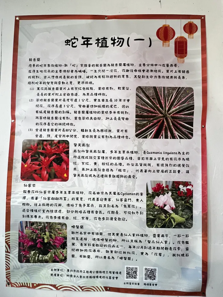 蛇年植物介紹