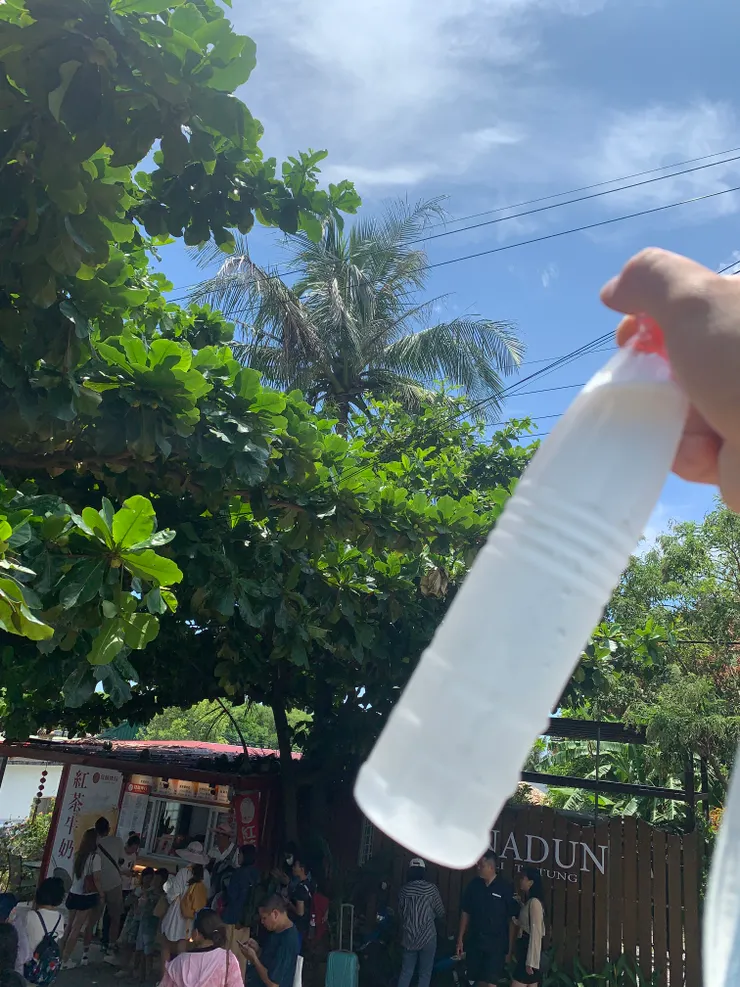 椰子水可以說是當地最普遍的飲料