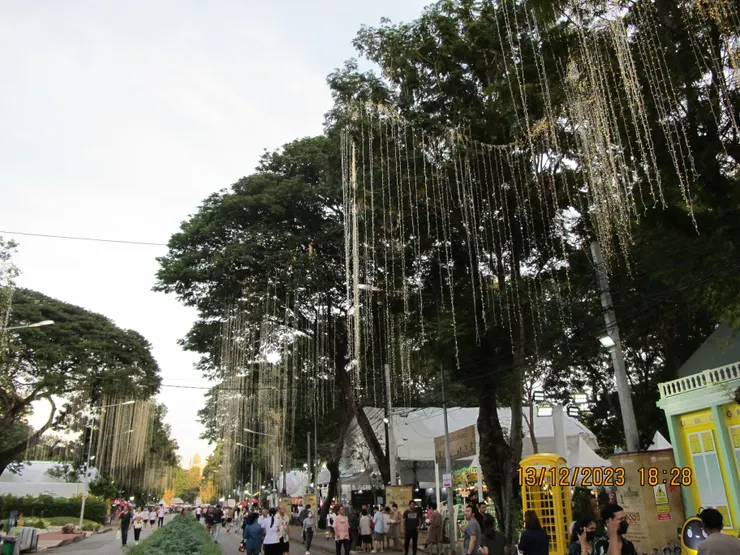 「黃金大道」！又大又壯觀！