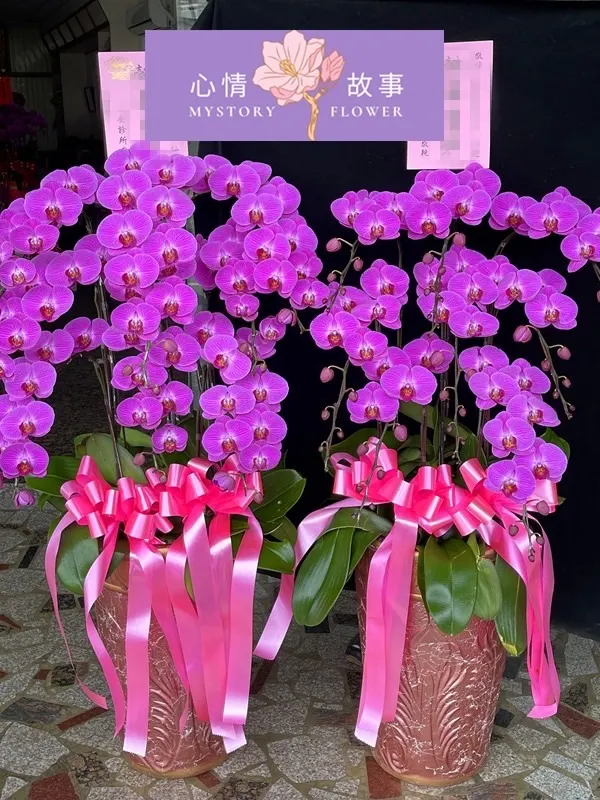 #台南花店 #鮮花 #蘭花 #玫瑰花 #永生花 #多肉植物 #盆栽 #花束 #花籃 #心情故事花房 