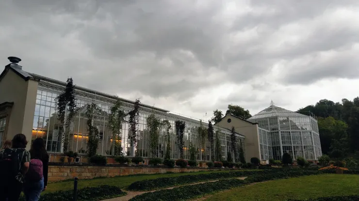 棕櫚溫室Palmenhaus