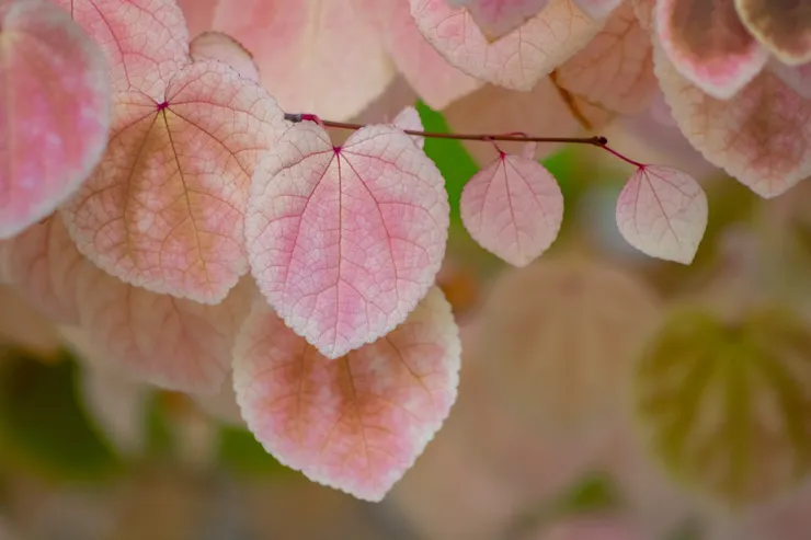 關於能力、關於情緒-圖片來源：Pixabay