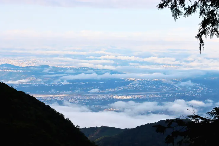 木馬道上林間空隙可以眺望東勢地區
