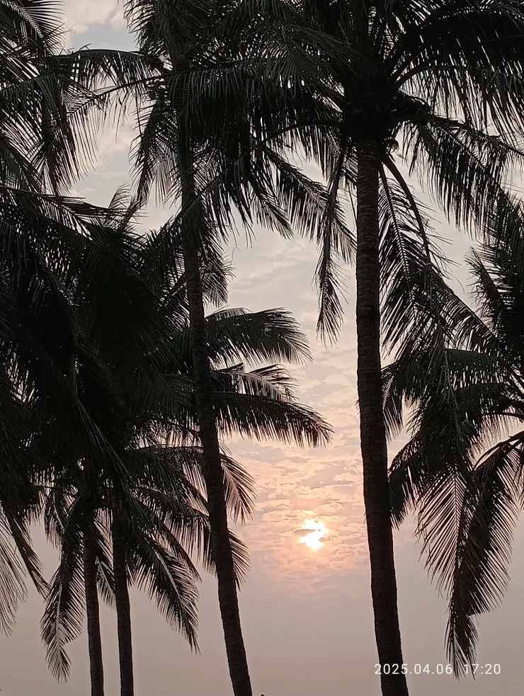 那如煙雨知風流