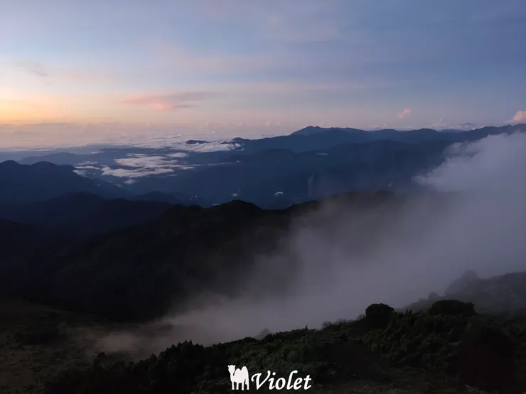 往向陽山的路上