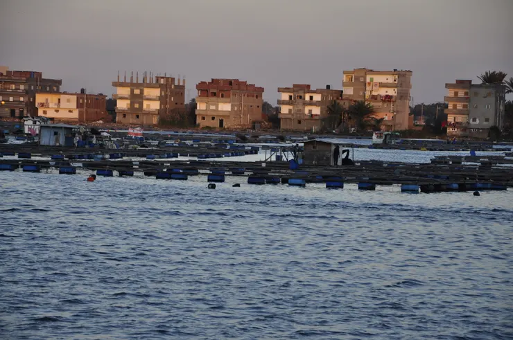 河口城市，羅塞塔