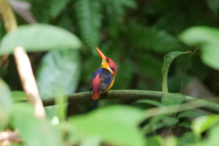 很專業的模特兒，很多姿勢