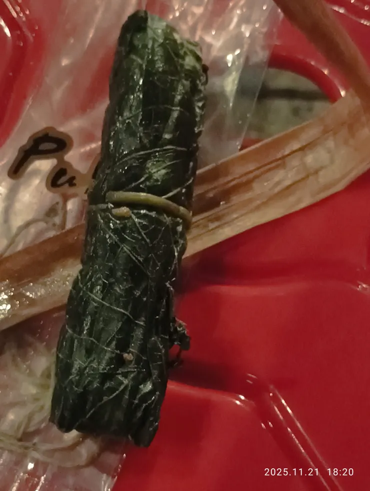 原民的”奇拿富”