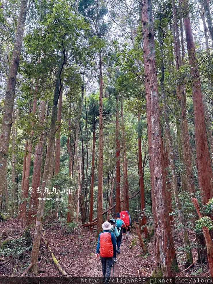 【大霸群峰4百岳。兩天一夜】觀霧大鹿林道東線騎越野單車/馬達