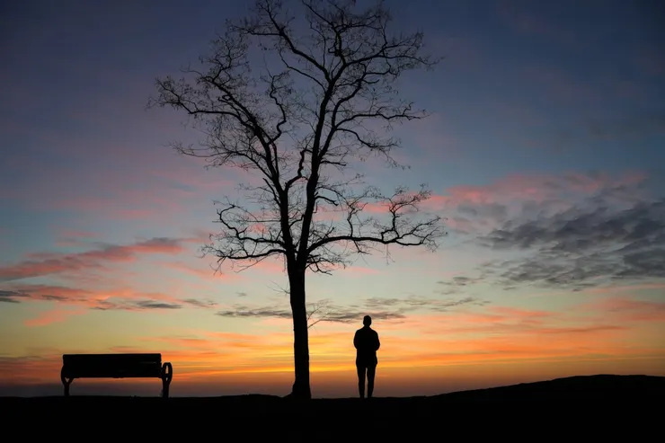 攝影師:Cara Denison: https://www.pexels.com/zh-tw/photo/35057829/