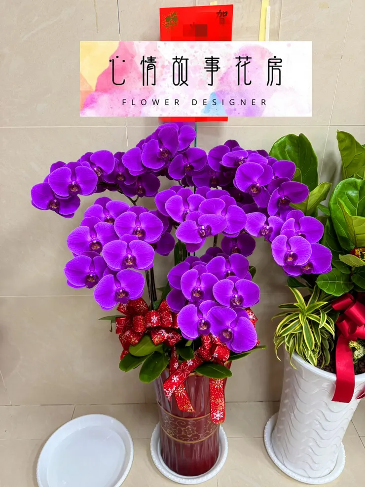 台南安南區在地花店推薦｜心情故事花房——用花訴說你說不出口的溫柔