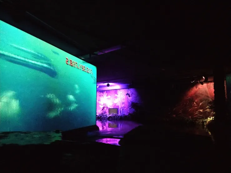 先介紹地球的歷史