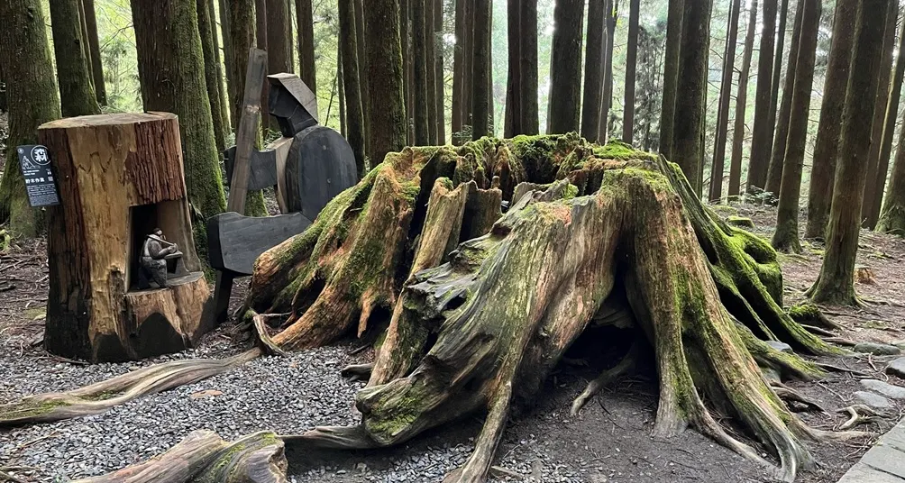 岱楨的文字所在