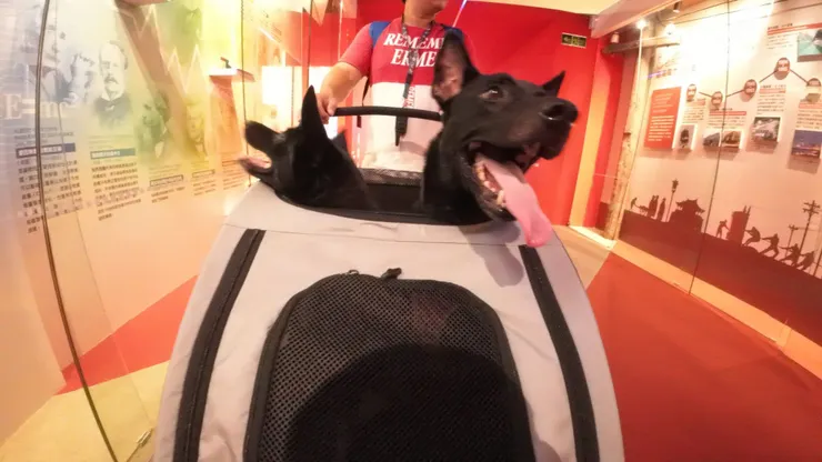 天氣很熱 可以進館內吹冷氣