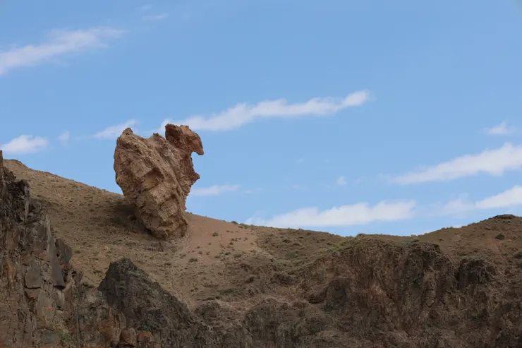 像是禿鷲的岩石