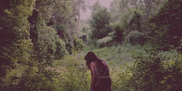 圖片來源: Canva免費圖庫