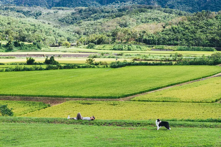 找回只想躺平的自己系列照片