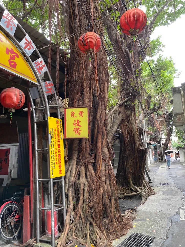 原本是緊鄰大漢溪的碧江街