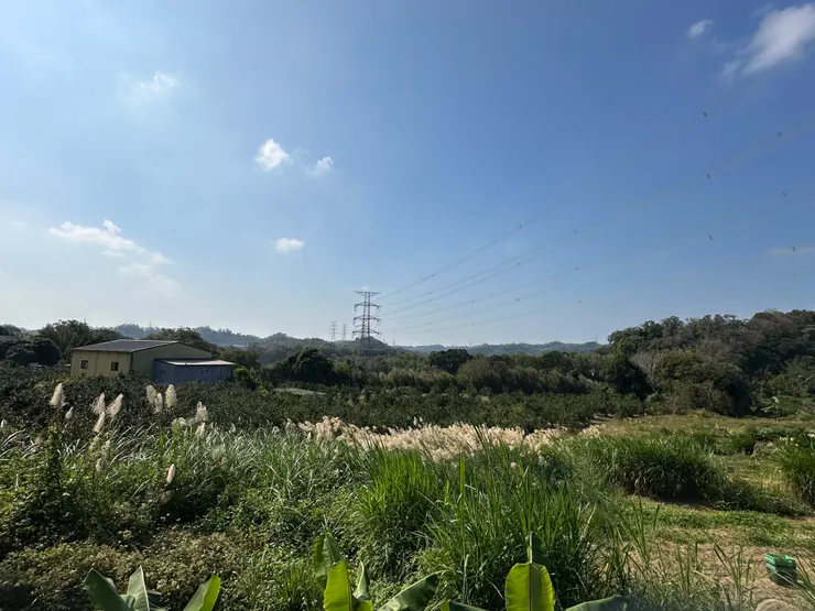 沿途風光，好喜歡