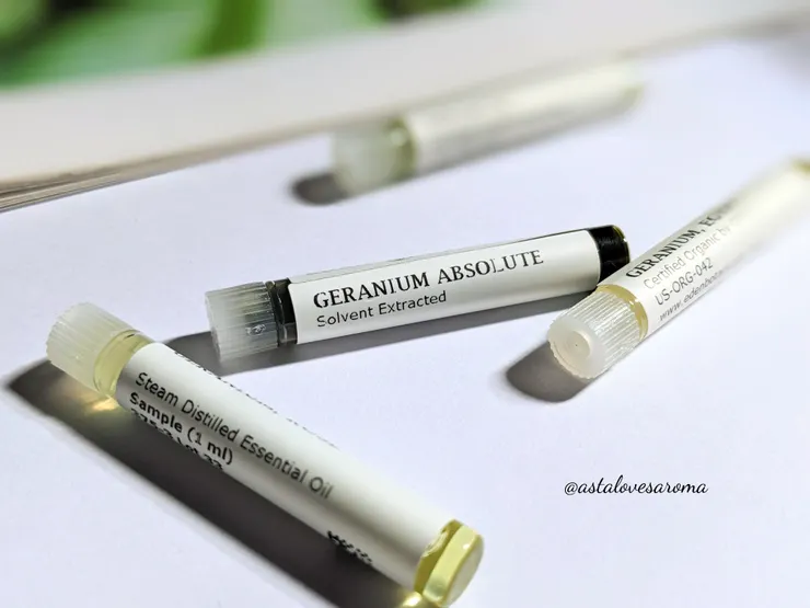 埃及 天竺葵原精