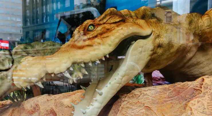 2024年的澳洲動物園