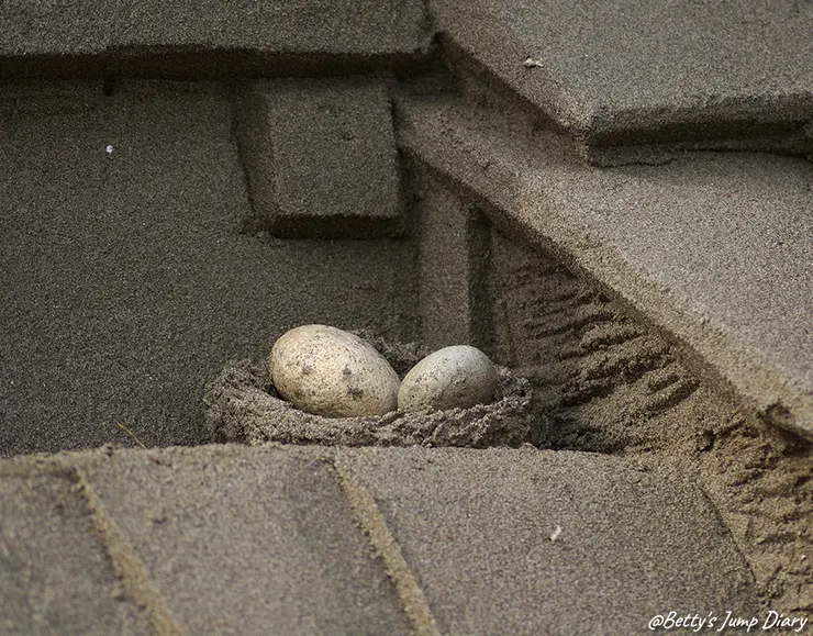 ▲2025苗栗「通霄沙雕藝術節」逍遙沙城/圖片來源：Betty's Jump Diary