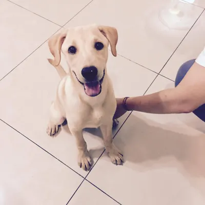 雞蛋到家的第一天｜相簿裡最捨不得刪的照片