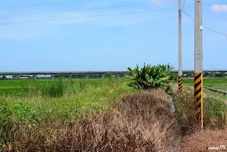 (往長短樹方向拍攝)