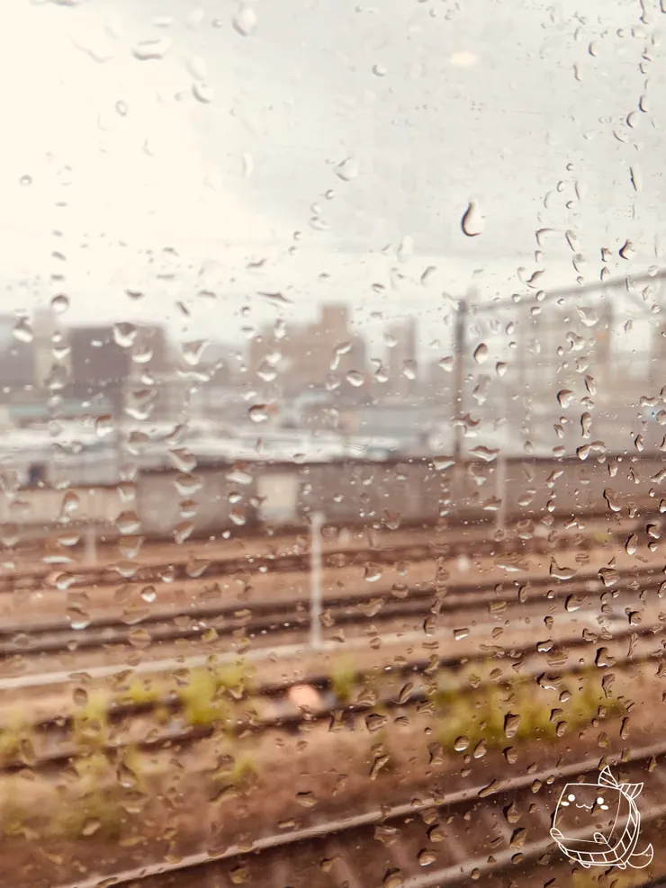 陰雨濛濛的天氣