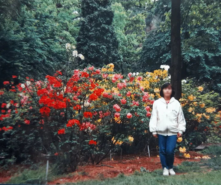 這是1992年春天，我在美國俄亥俄拍的照片。與妻子同遊學校少為人知的杜鵑花山谷。山谷不大但偏僻，種滿了杜鵑花。  我只有兩張照片紀錄了當時的情景。最近被台大杜鵑花節勾起那時的記憶，翻出這兩張照片，仔細端詳了許久，涓滴的記憶才慢慢匯聚。  杜鵑是盛開在寒冬厚雪融化後的春天，帶著快樂心情與妻同遊，是對她浪漫的承諾。當時漫步山谷，卻有種說不上來的憂傷，可能是異鄉吧？可能是山谷吧？反正就不是熟悉的台大遍地盛開的杜鵑。  我發現原來是那不一樣的黃色杜鵑，與台大校園一大片白裏鑲紅的景緻大不相同，難怪無法取代當時鄉愁。  人生的紀錄就這兩張照片，不多也無法再回到那裡，就讓它停留在此刻，寫下它，以免失智後，忘了一切！