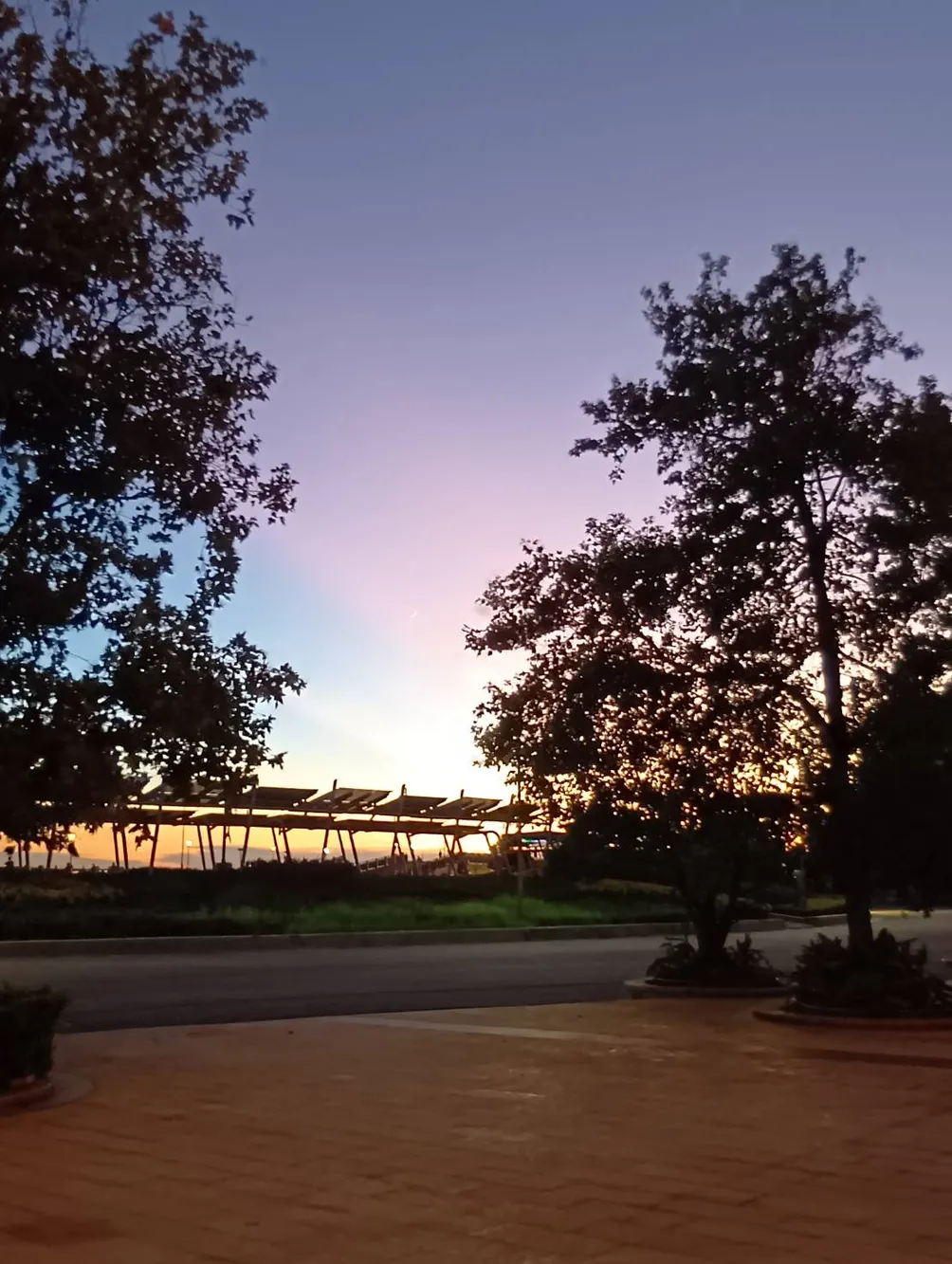 娃娃巫婆的沙龍