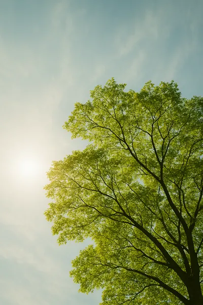 日復一日裡，有光，看《我的完美日常》有感