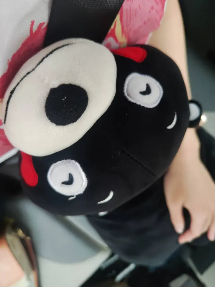 車上還有一隻熊本熊娃娃