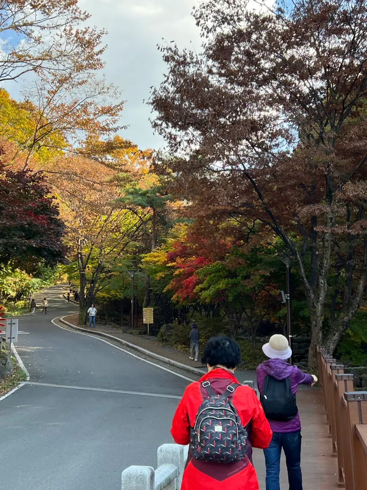 可以依照自身體力自行上山，只要在集合時間回到車上即可