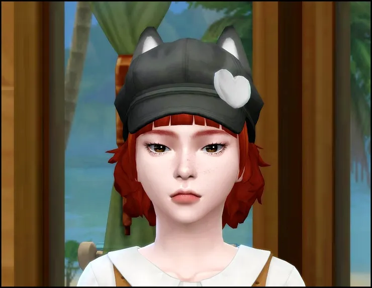 這是ＣＡＳ裡的樣子