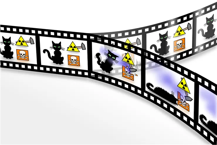 多重世界詮釋下的量子力學「薛丁格的貓」悖論。在這種解釋中，每個量子事件都是一個分支點；即使盒子打開後，貓仍然既活著又死了，但「活著」的貓和「死去」的貓位於多元宇宙的不同分支中，這兩個分支同樣真實，但彼此之間不會相互作用。