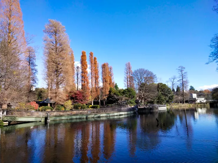 這一幕看了心曠神怡