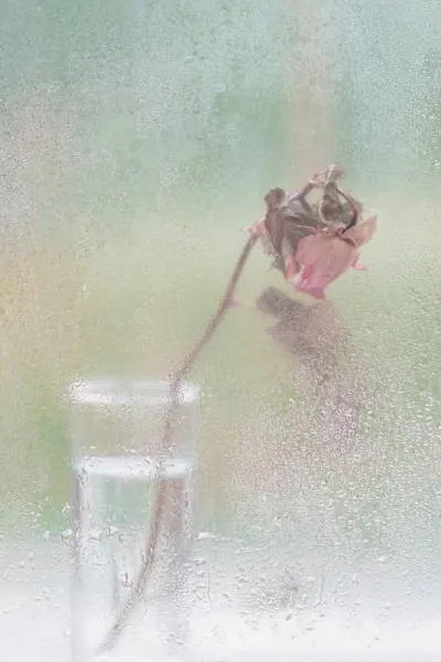 【跟丈夫活得像室友那樣-2】，來自一位中年媽媽苦撐良久的焦慮