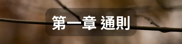 第一章 通則