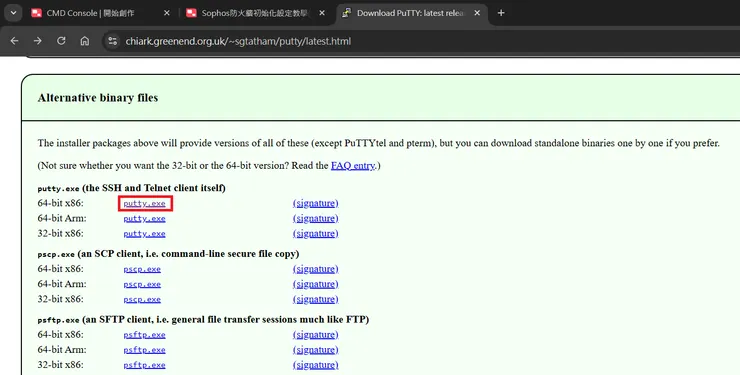 下載圖中紅框起來的免安裝版本即可