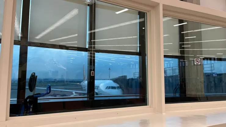 跟桃機、虎航說早安。