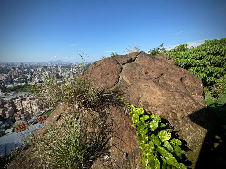 山頂就是仙跡岩本人，上面蓋有一座觀景涼亭