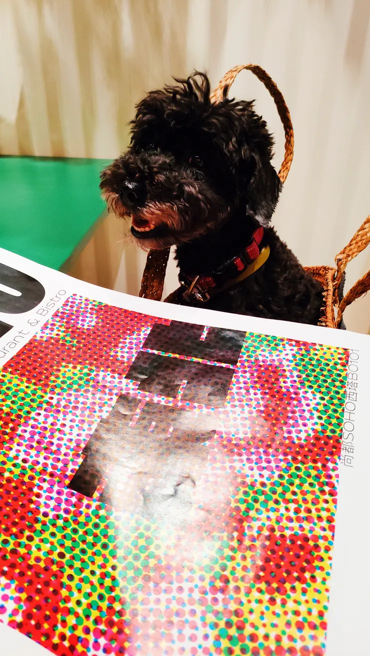 是寵物友善餐廳，那就一定要帶點兒一起來打卡！！！