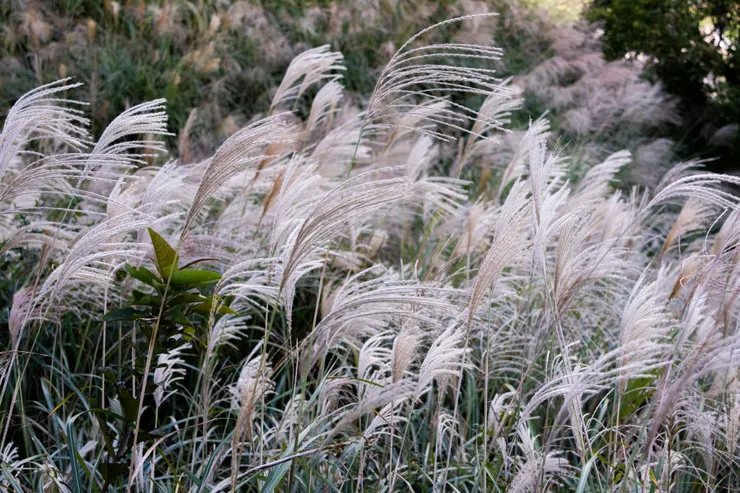 這張照片比起上一張的調色，偏向更冷色調