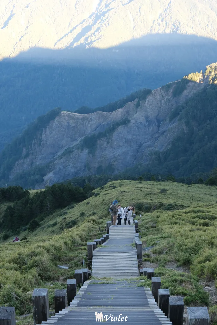 合歡山東峰步道