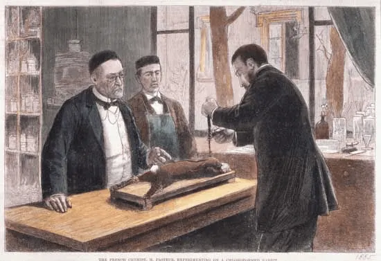 French chemist and microbiologist Louis Pasteur experimenting on a chloroformed rabbit, coloured wood engraving, 1885. Source: Encyclopædia Britannica