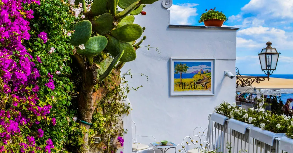 心靈花園的沙龍